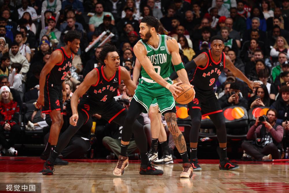 意大利的 意大利的